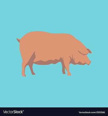 In flat style pig vector image