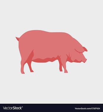 In flat style pig vector image
