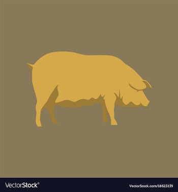 In flat style pig vector image