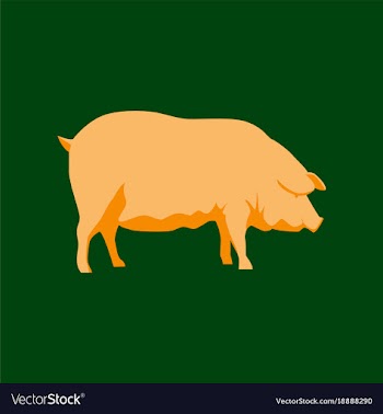 In flat style pig vector image