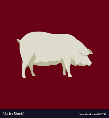 In flat style pig vector image