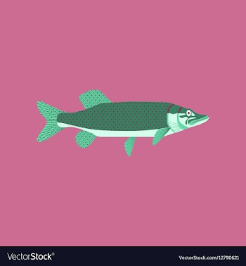 In flat style pike vector image