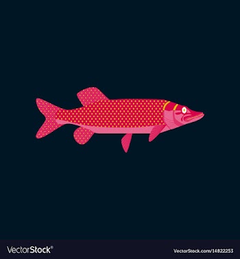 In flat style pike vector image
