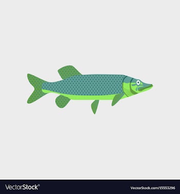 In flat style pike vector image