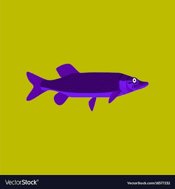 In flat style pike vector image