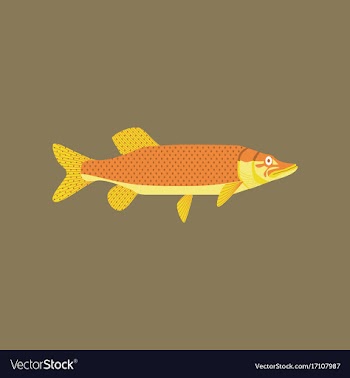 In flat style pike vector image