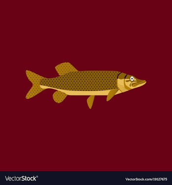 In flat style pike vector image