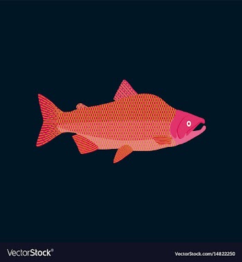 In flat style pink salmon vector image