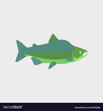 In flat style pink salmon vector image