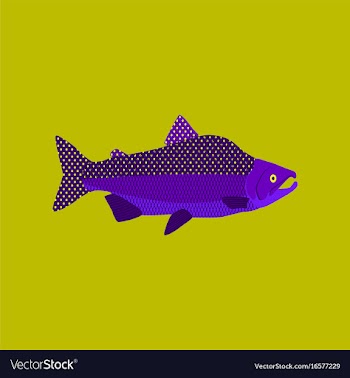 In flat style pink salmon vector image
