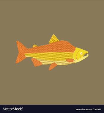 In flat style pink salmon vector image
