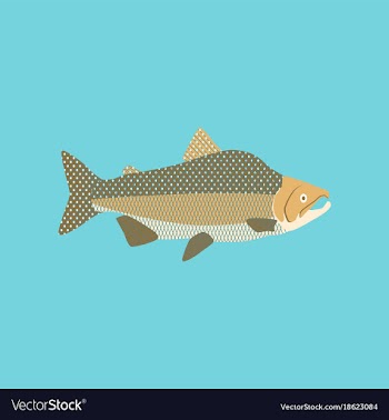 In flat style pink salmon vector image