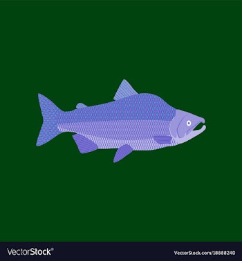 In flat style pink salmon vector image