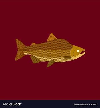In flat style pink salmon vector image