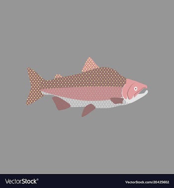 In flat style pink salmon vector image