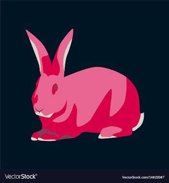 In flat style rabbit vector image