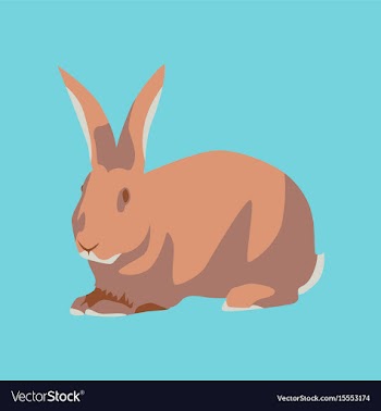 In flat style rabbit vector image
