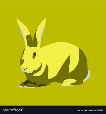 In flat style rabbit vector image