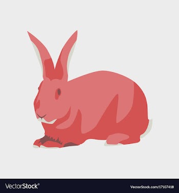 In flat style rabbit vector image