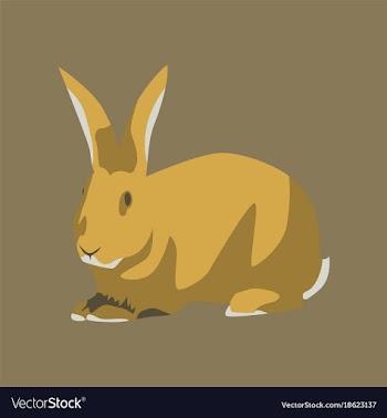 In flat style rabbit vector image