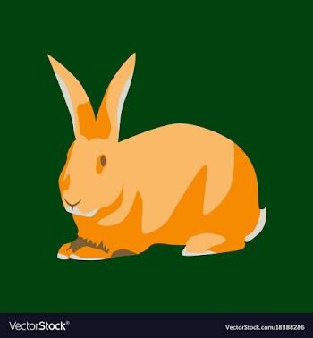 In flat style rabbit vector image