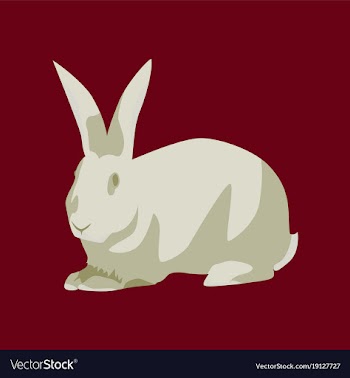 In flat style rabbit vector image