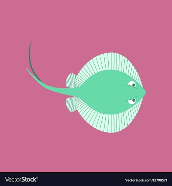 In flat style ramp fish vector image