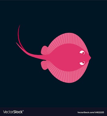 In flat style ramp fish vector image