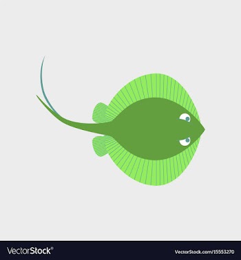 In flat style ramp fish vector image
