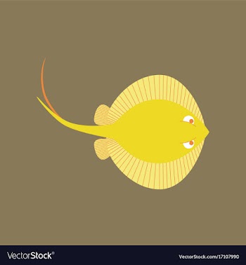 In flat style ramp fish vector image