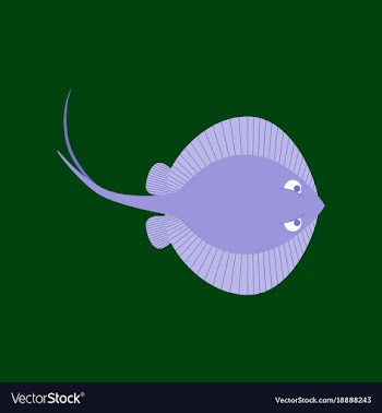 In flat style ramp fish vector image