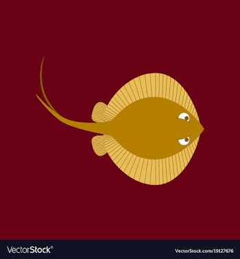 In flat style ramp fish vector image