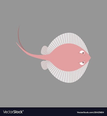 In flat style ramp fish vector image