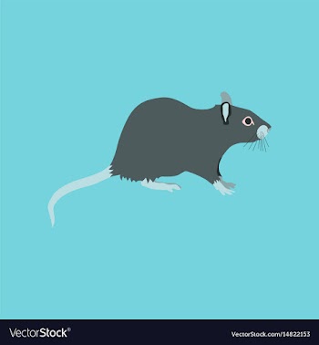 In flat style rat vector image