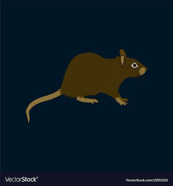In flat style rat vector image