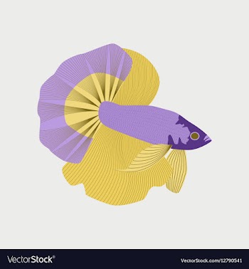 In flat style rooster fish vector image