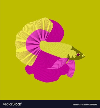 In flat style rooster fish vector image