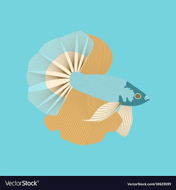 In flat style rooster fish vector image