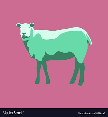 In flat style sheep vector image