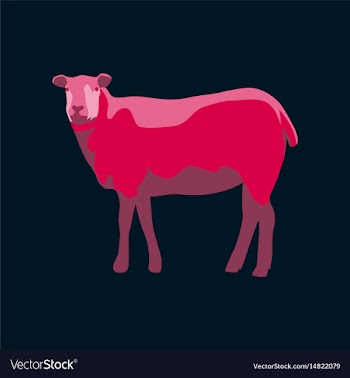 In flat style sheep vector image