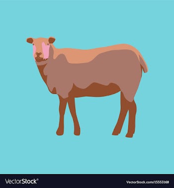 In flat style sheep vector image
