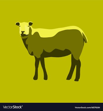 In flat style sheep vector image