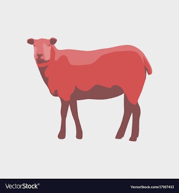 In flat style sheep vector image