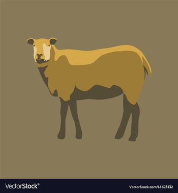 In flat style sheep vector image