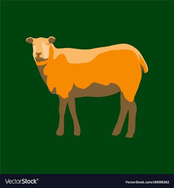 In flat style sheep vector image