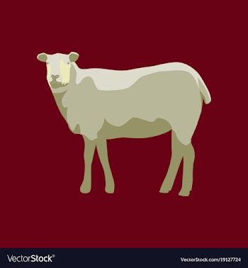 In flat style sheep vector image