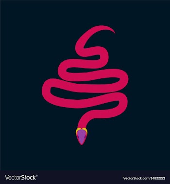 In flat style snake vector image