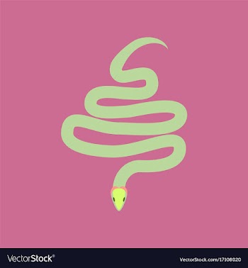 In flat style snake vector image
