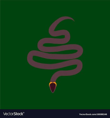 In flat style snake vector image