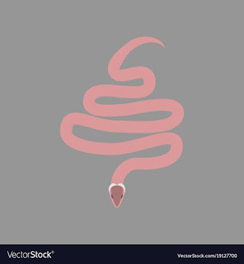 In flat style snake vector image